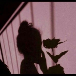 Meet your Posher, Noelle